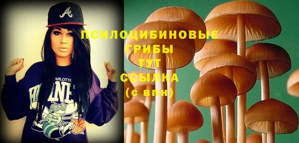 дурь Верхнеуральск